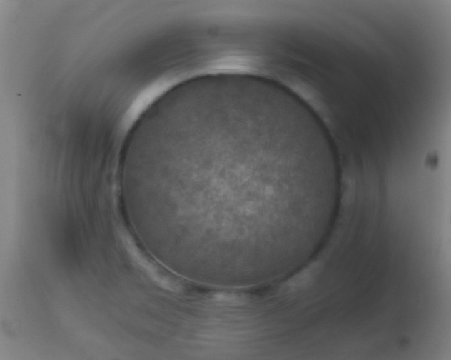 X0000114171469200910221640