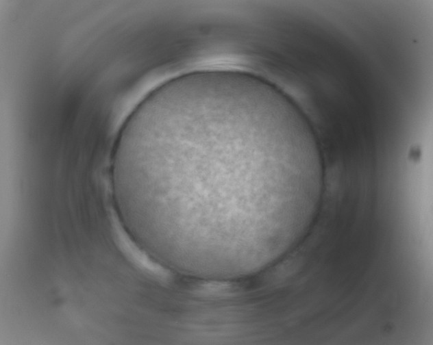 X0000114171470200910221640