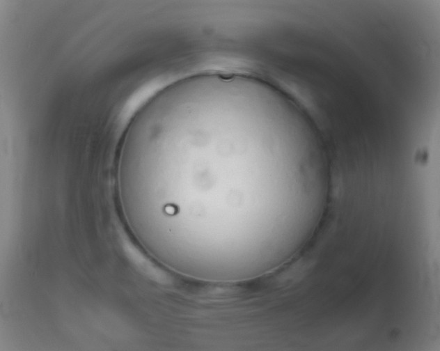 X0000114171471200910221640