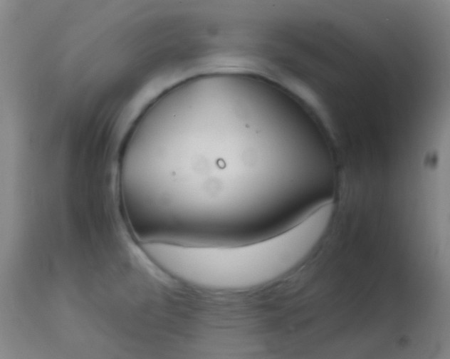 X0000114171472200910221640