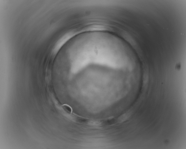 X0000114171473200910221639