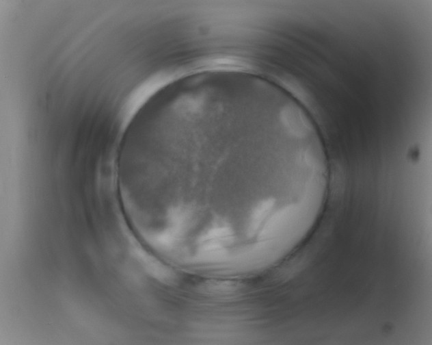 X0000114171474200910221639