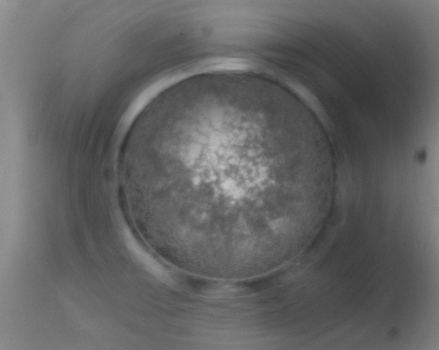 X0000114171475200910221639