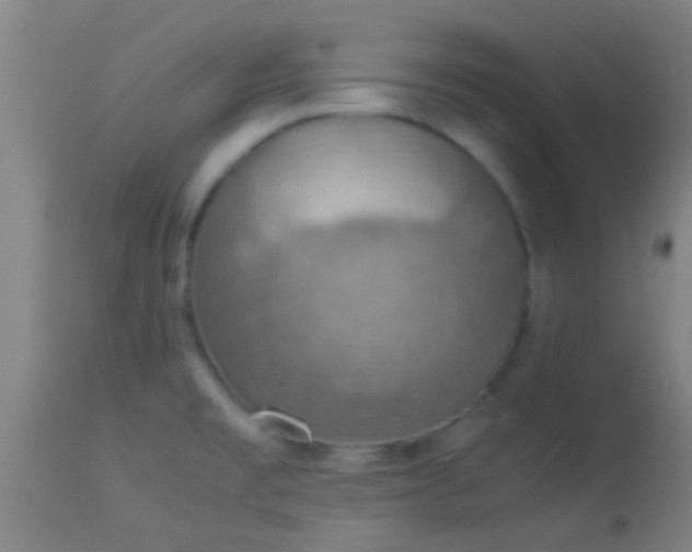 X0000114171477200910221639