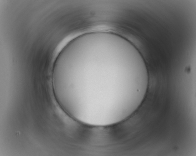 X0000114171478200910221639