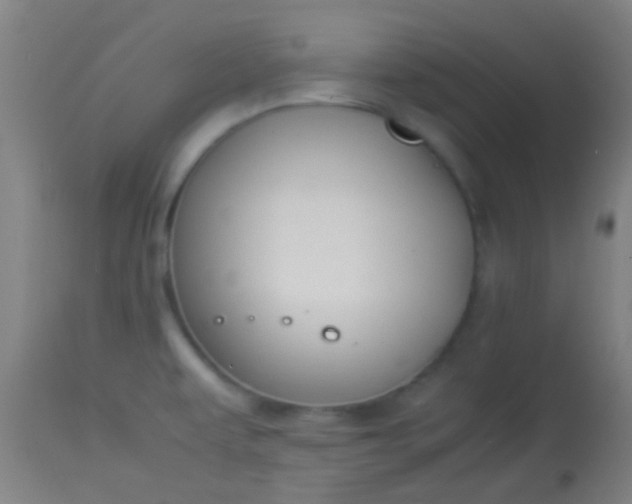 X0000114171479200910221639