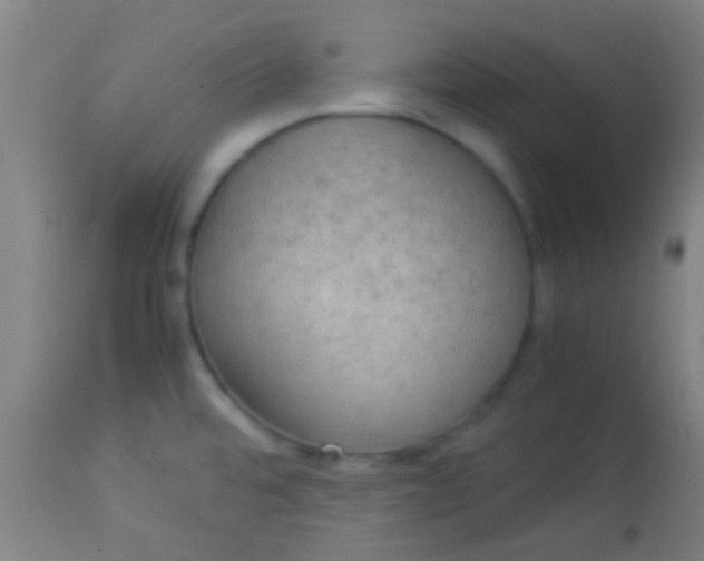 X0000114171480200910221639