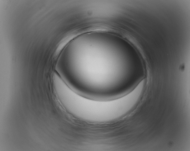 X0000114171481200910221639