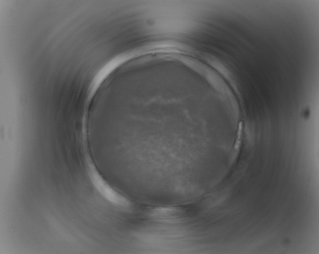 X0000114171482200910221639