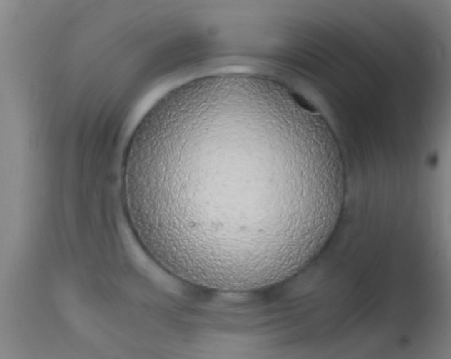 X0000114171483200910221639