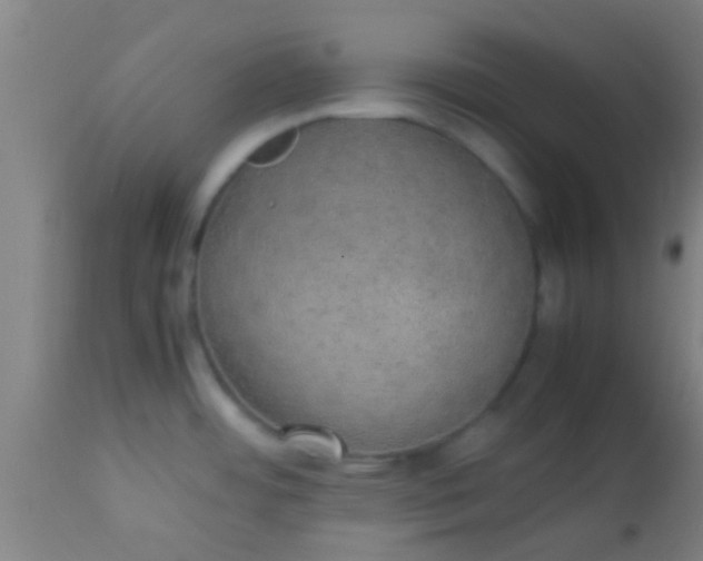 X0000114171484200910221639