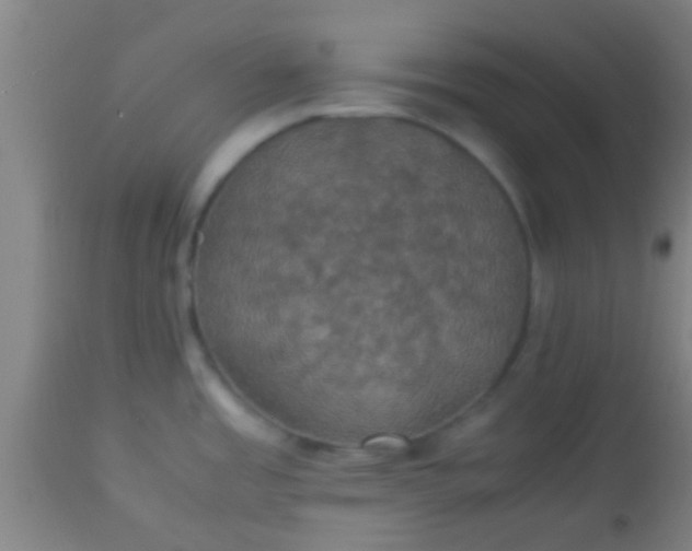 X0000114171485200910221639