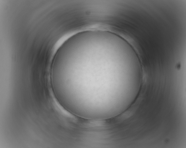 X0000114171486200910221639