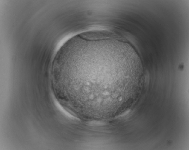 X0000114171487200910221639