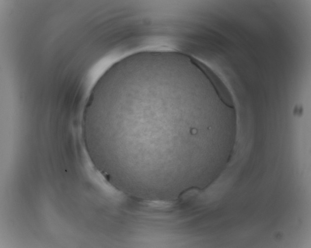 X0000114171488200910221639