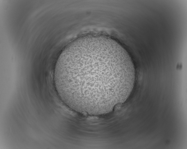 X0000114171489200910221639