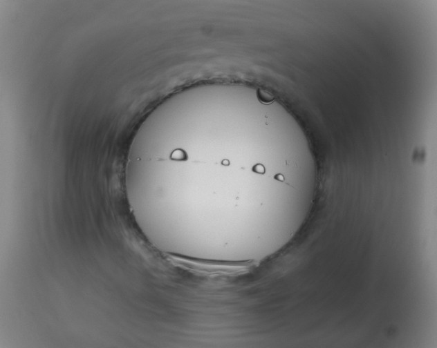 X0000114171490200910221639