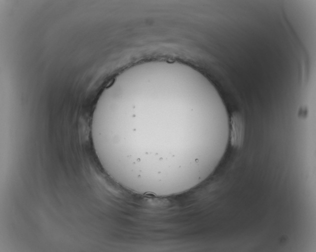 X0000114171491200910221639