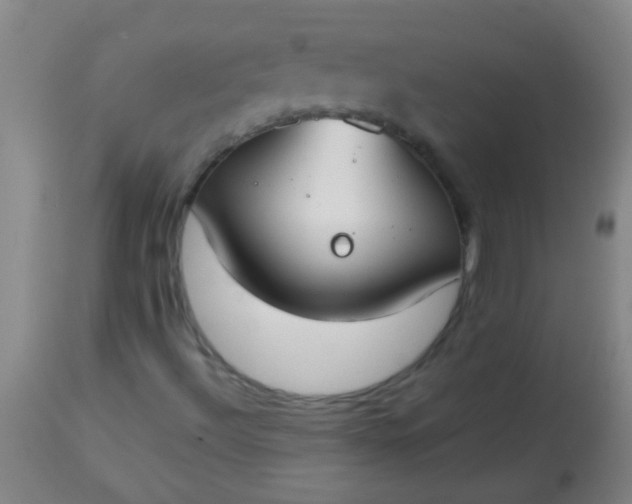 X0000114171492200910221639