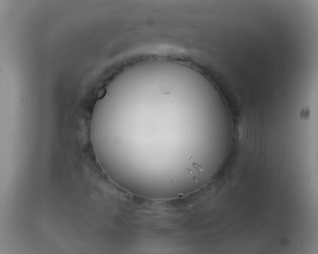 X0000114171493200910221639