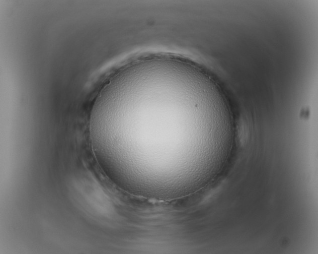 X0000114171494200910221639