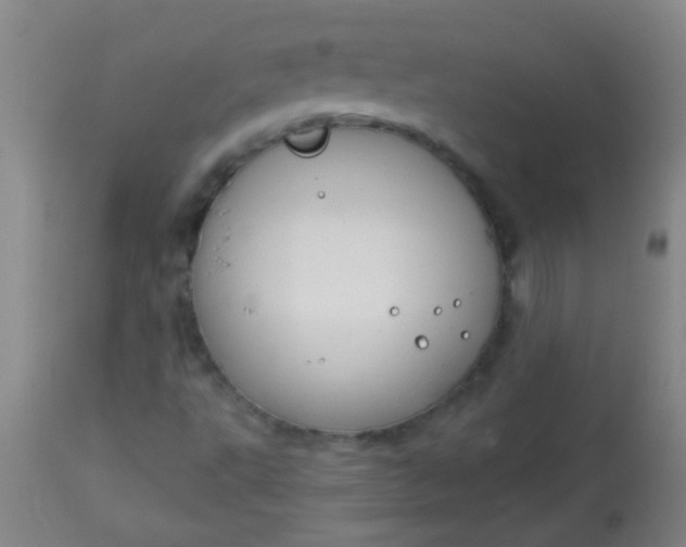 X0000114171495200910221639