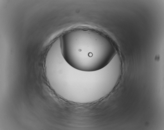 X0000114171496200910221639