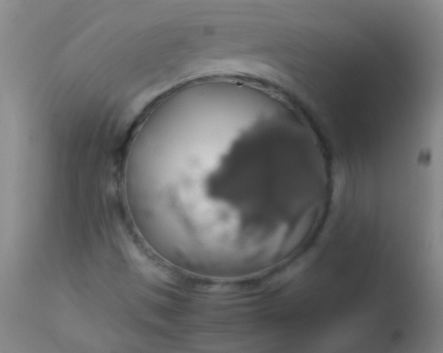 X0000114171497200910221639