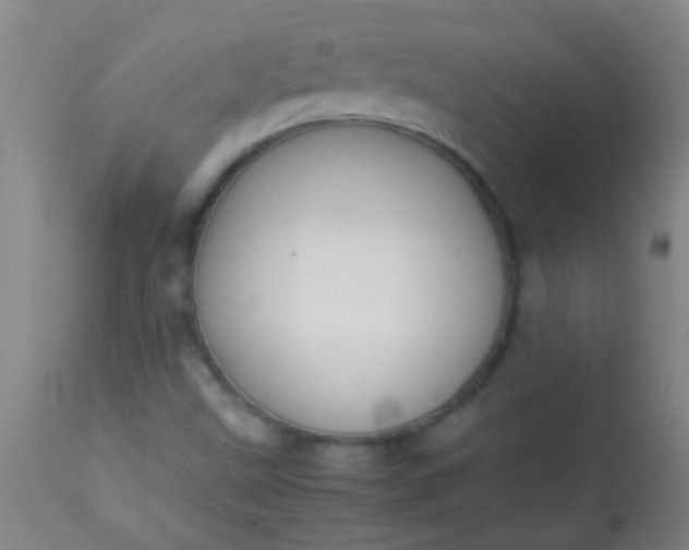 X0000114171499200910221639