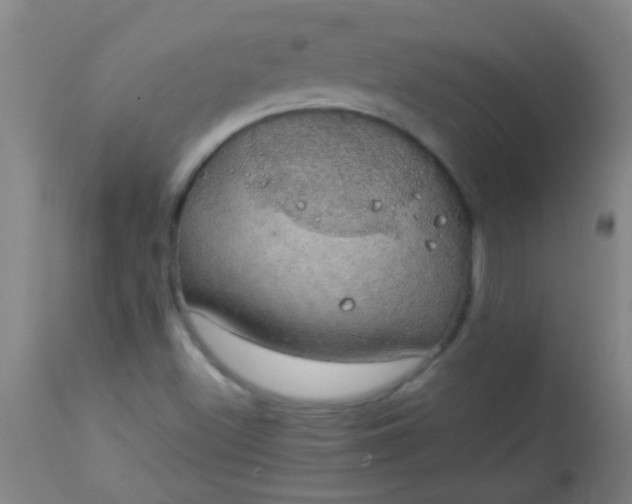 X0000114171500200910221639