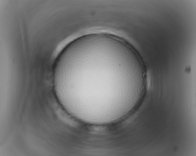 X0000114171501200910221639