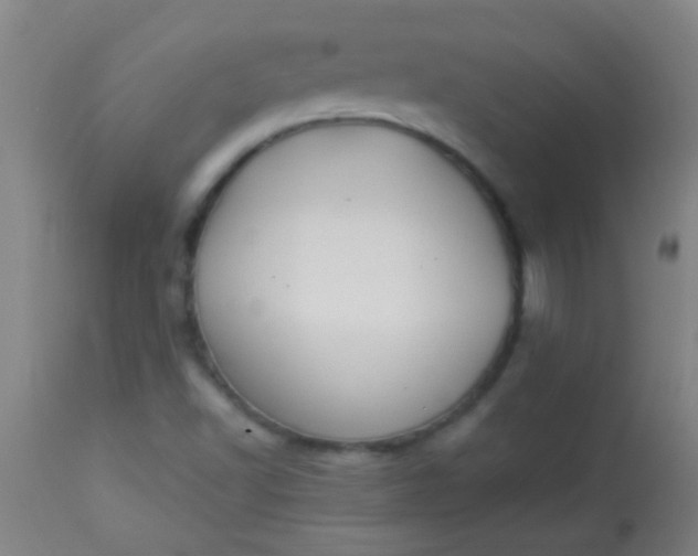 X0000114171502200910221639