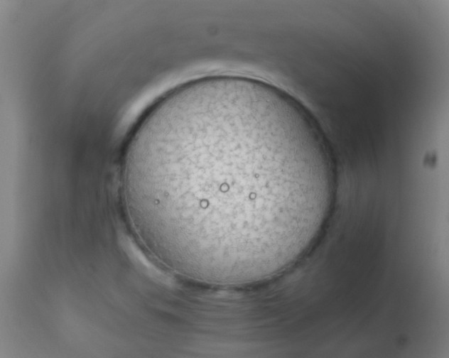 X0000114171503200910221639