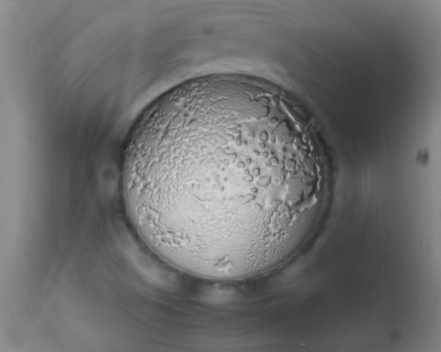 X0000114171505200910221639