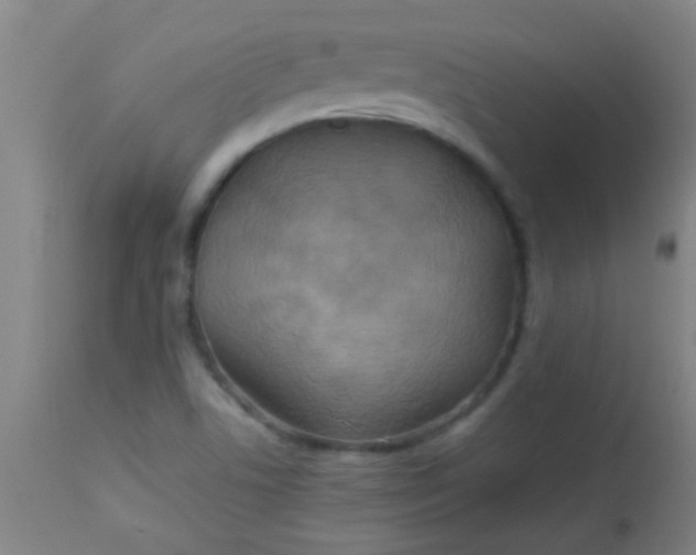 X0000114171506200910221639