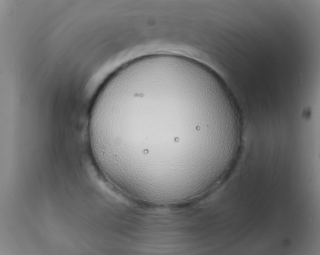 X0000114171507200910221639