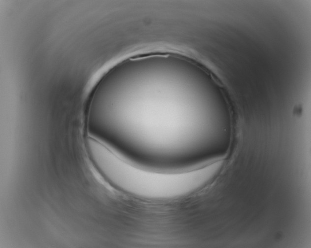 X0000114171508200910221639