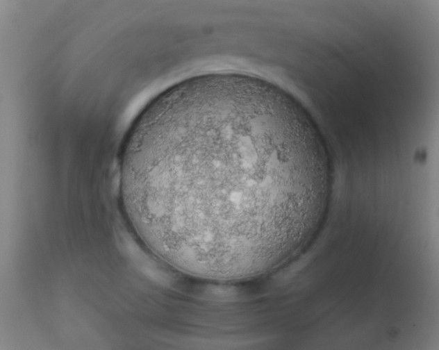 X0000114171509200910221639