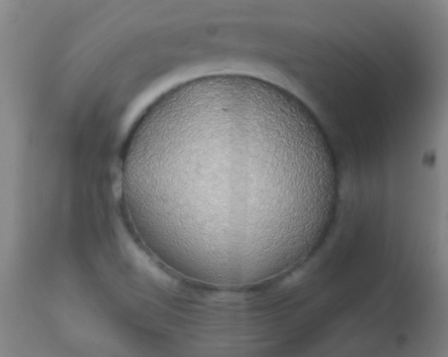 X0000114171510200910221639