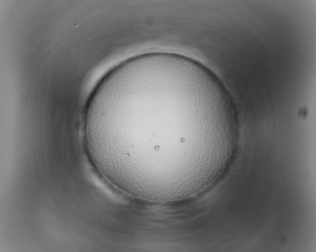 X0000114171511200910221639