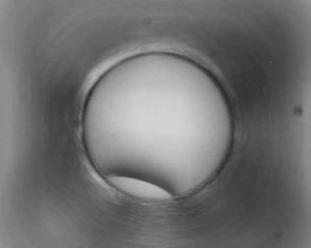 X0000114171512200910221639