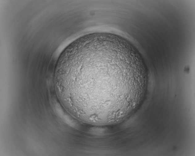 X0000114171513200910221639