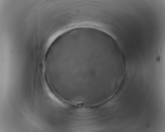 X0000114171515200910221639