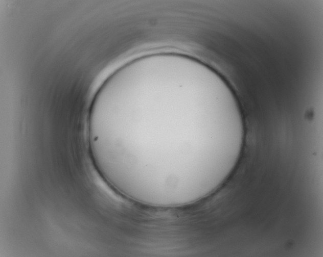 X0000114171516200910221639