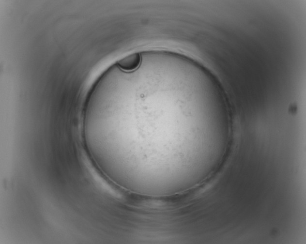 X0000114171517200910221639