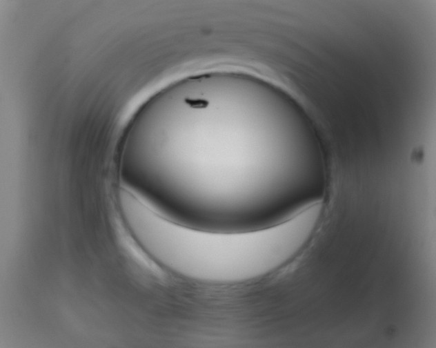 X0000114171518200910221639