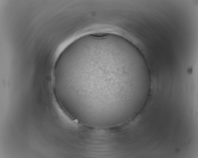 X0000114171520200910221639