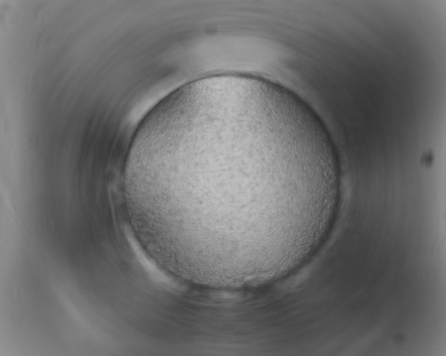 X0000114171521200910221639