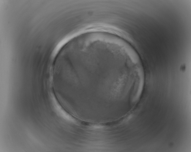 X0000114171522200910221639