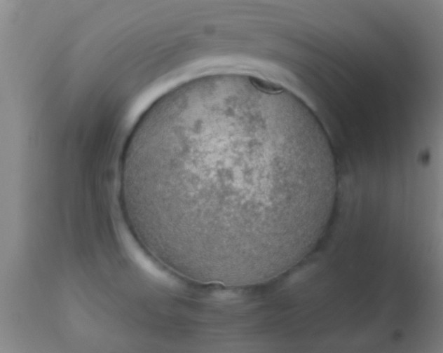 X0000114171523200910221639